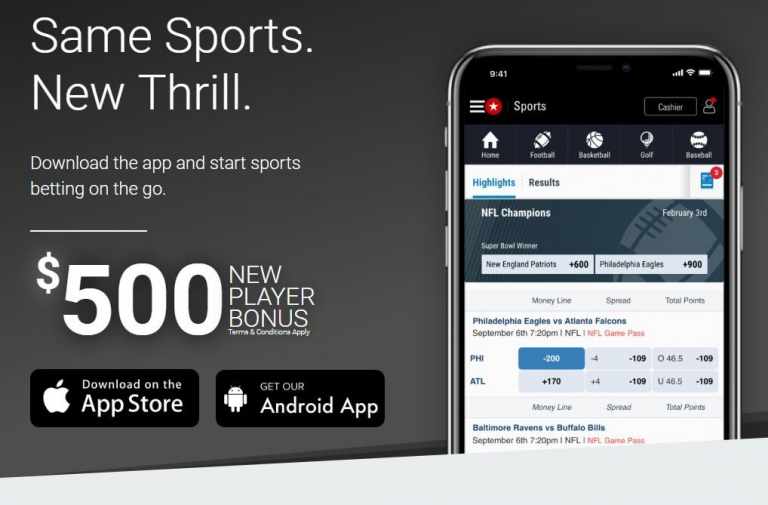 bets sport